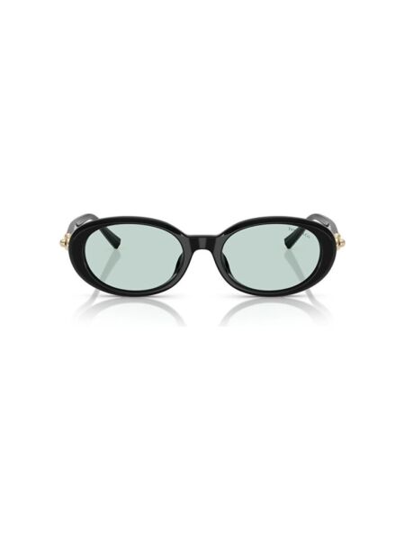 Tiffanıy TF 4242D 8001D9 .54 Güneş Gözlüğü