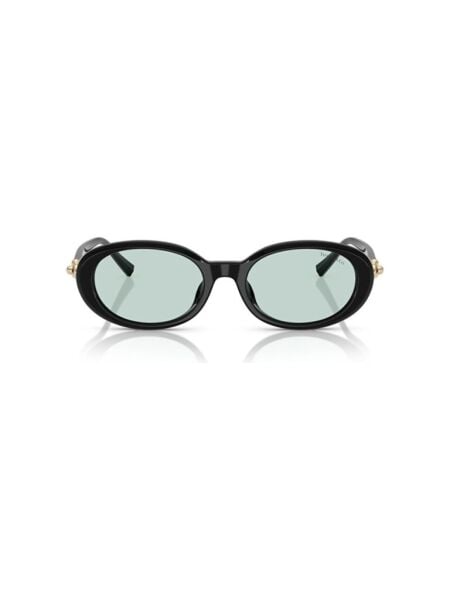 Tiffanıy TF 4242D 8001D9 .54 Güneş Gözlüğü