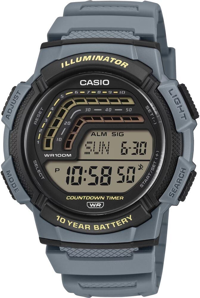 Casio Standart Kol Saati WS-1800-2AVDF