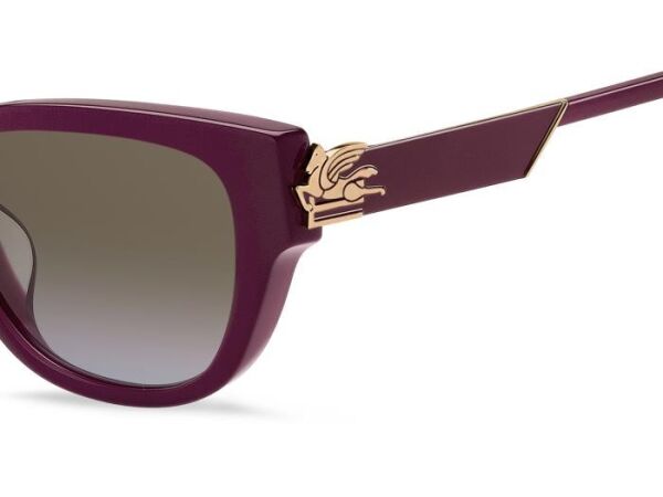 Etro Etro  0063/F/S LHF67 .55 Güneş Gözlüğü