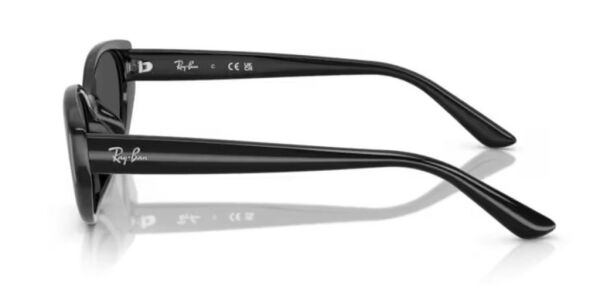 Ray-Ban RB 4457D 667787 .55 Unisex Güneş Gözlüğü