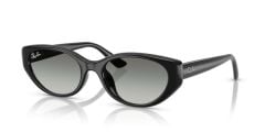 Ray-Ban RB 4457D 667711 .55 Unisex Güneş Gözlüğü