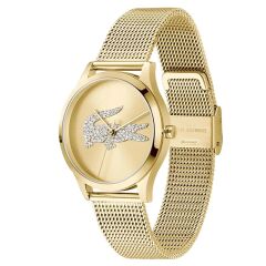 Lacoste LAC2001470 Kol Saati