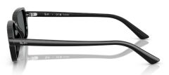 Ray-Ban RB 4455 667781 .49 Unisex Güneş Gözlüğü