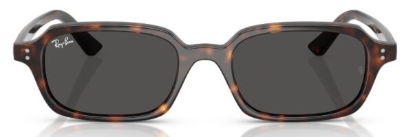Ray-Ban RB 4455 135987 .52 Unisex Güneş Gözlüğü