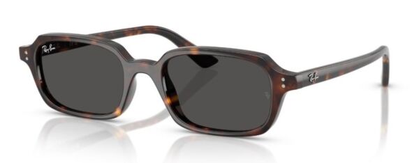 Ray-Ban RB 4455 135987 .52 Unisex Güneş Gözlüğü