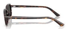 Ray-Ban RB 4455 135987 .52 Unisex Güneş Gözlüğü