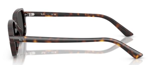Ray-Ban RB 4455 135987 .52 Unisex Güneş Gözlüğü