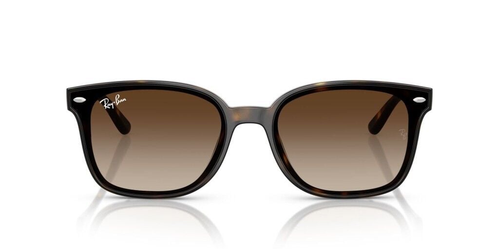 Ray-Ban RB 4461D 710/13 .64 Unisex Güneş Gözlüğü