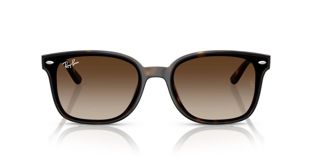 Ray-Ban RB 4461D 710/13 .64 Unisex Güneş Gözlüğü