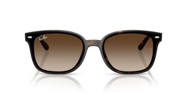 Ray-Ban RB 4461D 710/13 .64 Unisex Güneş Gözlüğü