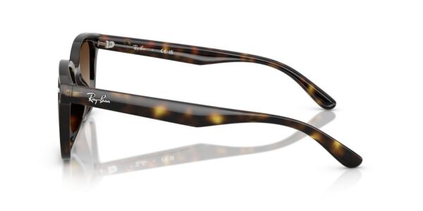 Ray-Ban RB 4461D 710/13 .64 Unisex Güneş Gözlüğü