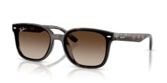 Ray-Ban RB 4461D 710/13 .64 Unisex Güneş Gözlüğü