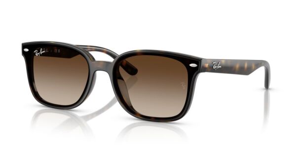 Ray-Ban RB 4461D 710/13 .64 Unisex Güneş Gözlüğü