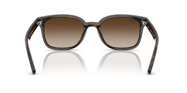 Ray-Ban RB 4461D 710/13 .64 Unisex Güneş Gözlüğü
