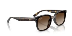 Ray-Ban RB 4461D 710/13 .64 Unisex Güneş Gözlüğü