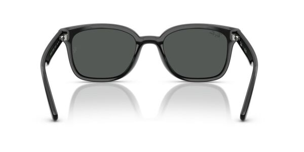 Ray-Ban RB 4461D 601/87 .64 Unisex Güneş Gözlüğü