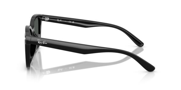 Ray-Ban RB 4461D 601/87 .64 Unisex Güneş Gözlüğü