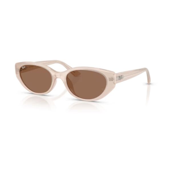 Ray-Ban RB 4457D 678673 .55 Unisex Güneş Gözlüğü