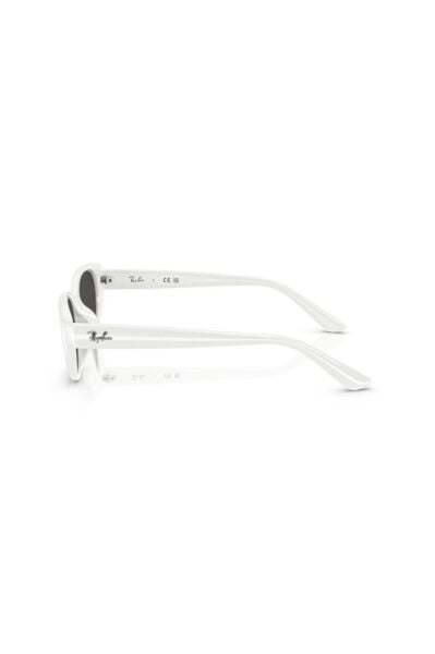 Ray-Ban RB 4457D 677287 .55 Unisex Güneş Gözlüğü
