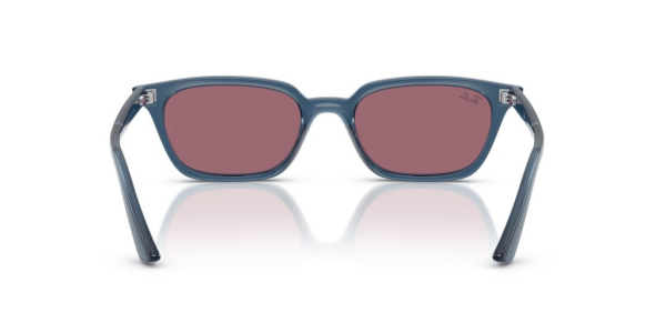 Ray-Ban RB 4456 68121A .50 Unisex Güneş Gözlüğü