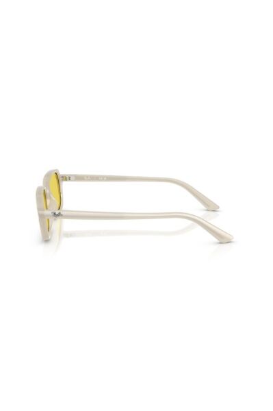 Ray-Ban RB 4455 68086D .52 Unisex Güneş Gözlüğü