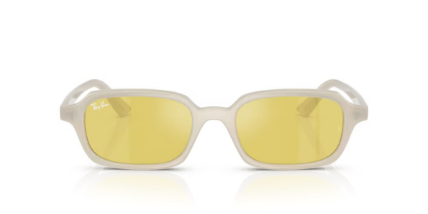 Ray-Ban RB 4455 68086D .49 Unisex Güneş Gözlüğü