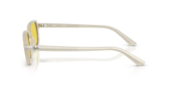 Ray-Ban RB 4455 68086D .49 Unisex Güneş Gözlüğü