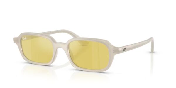 Ray-Ban RB 4455 68086D .49 Unisex Güneş Gözlüğü